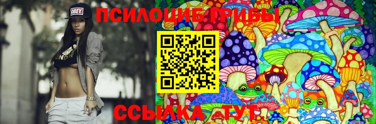 Псилоцибиновые грибы прущие грибы Михайловск